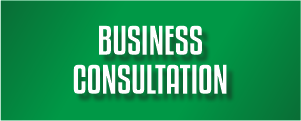 business consultation g