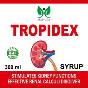 mamuka_healthcare_syrup_1080_tropidex